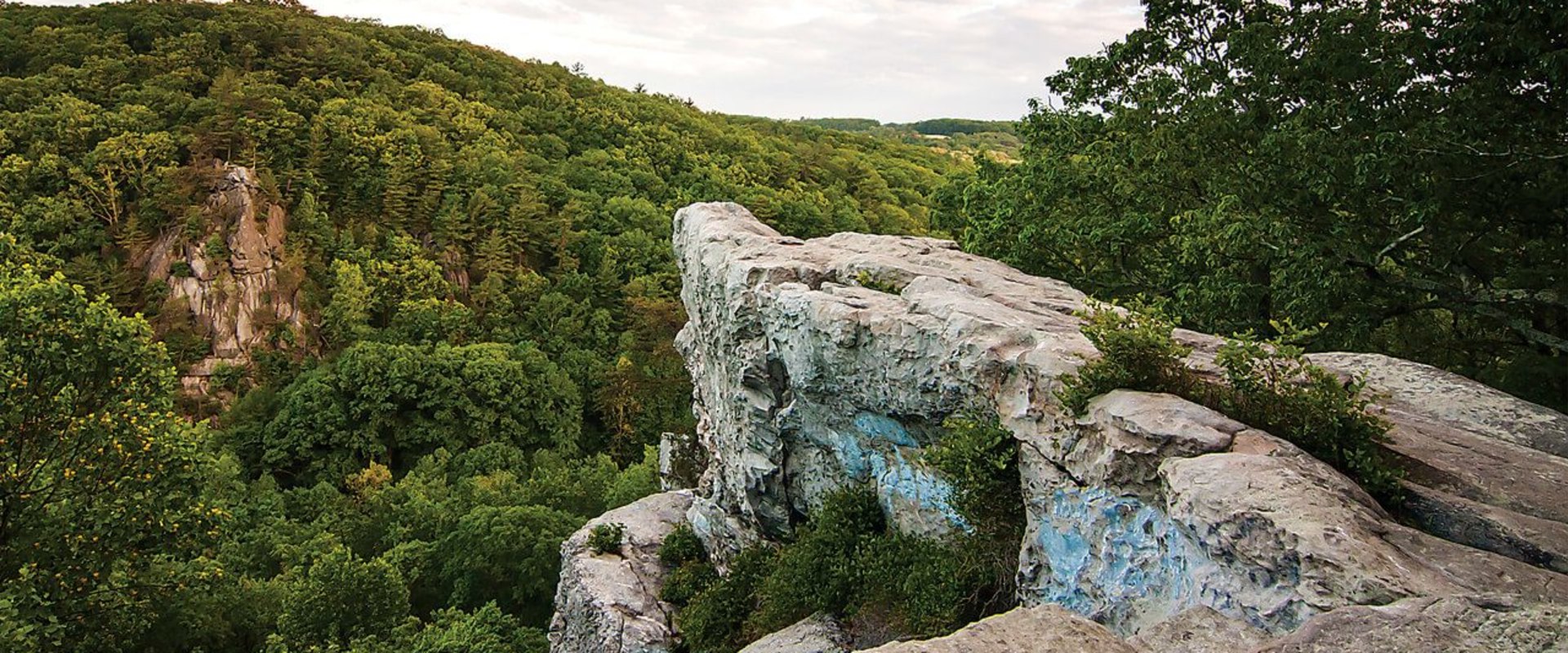 Exploring Baltimore County's Outdoor Activities and Nature Trails